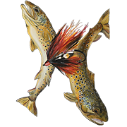 Flytyngofish